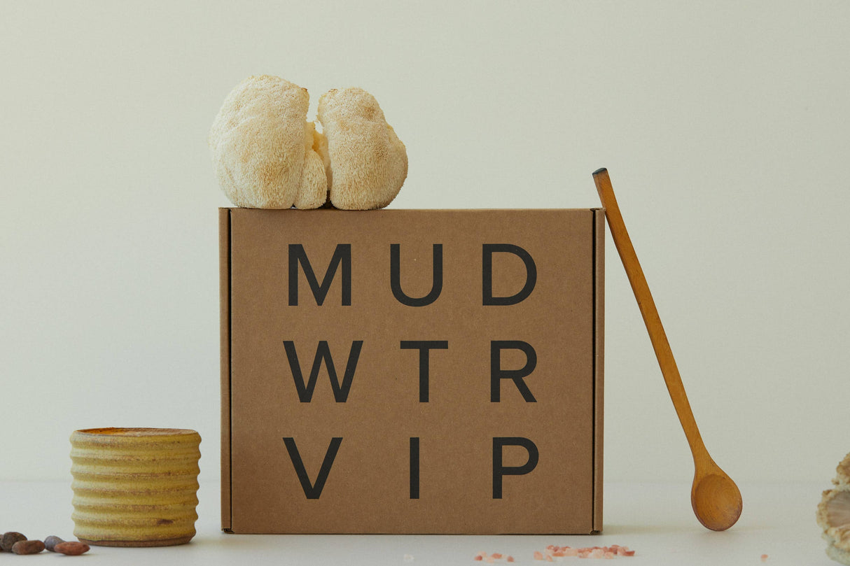 MUD\WTR - Kit de inicio del ritual matutino