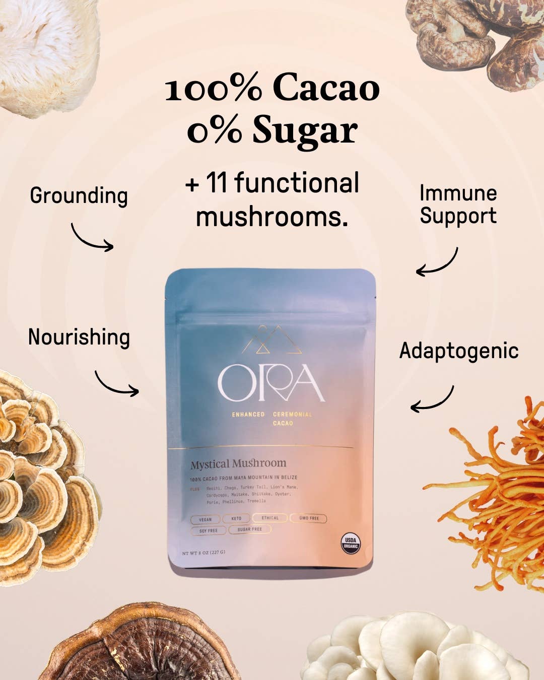 Cacao Mejorado con Hongos Místicos - Orgánico - Ceremonial